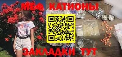 прущие грибы Шелехов