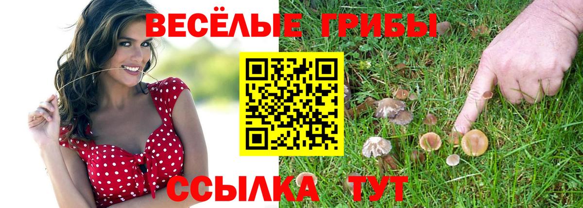Обь  Псилоцибиновые грибы Psilocybine cubensis  Вход с VPN 