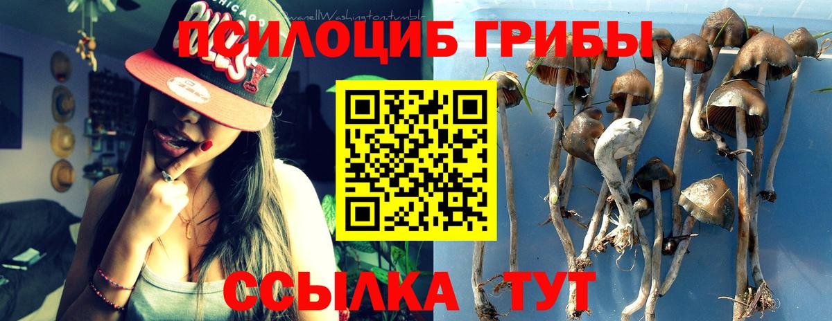Псилоцибиновые грибы мицелий Обь